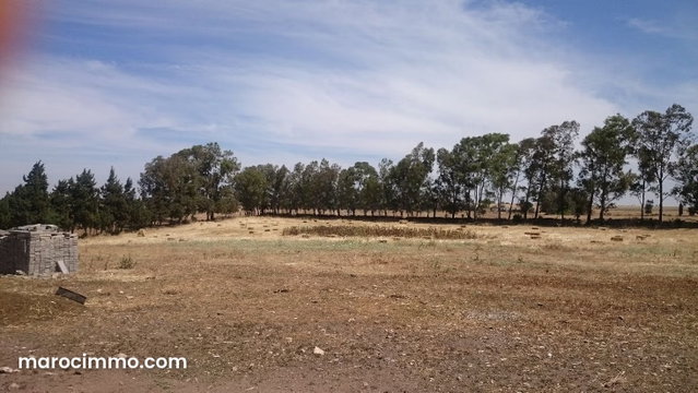 Terrain 11255 m² Bouskoura/Labissa — 2