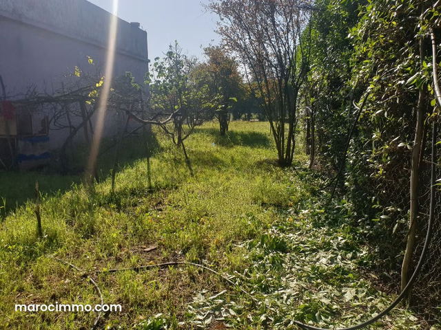 Large Plot for Sale in Nouasser — Nouaceur