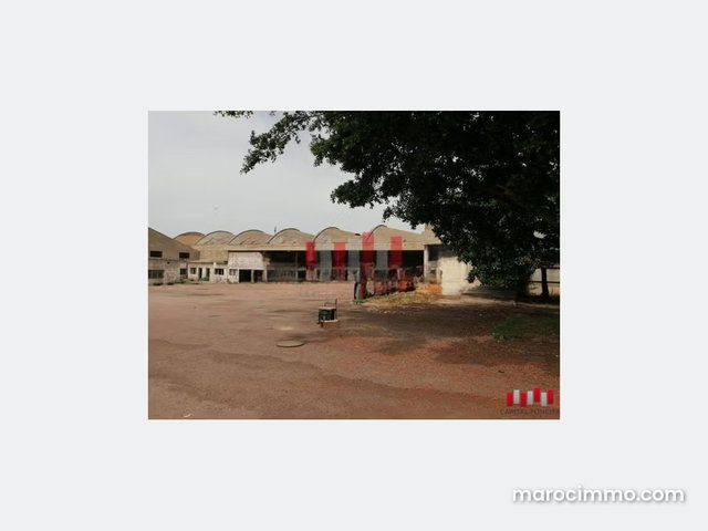 Industrial Land for Sale 10,000 m2 Zone i2 in Ain Sebaa Height Max 20.5 m — 2