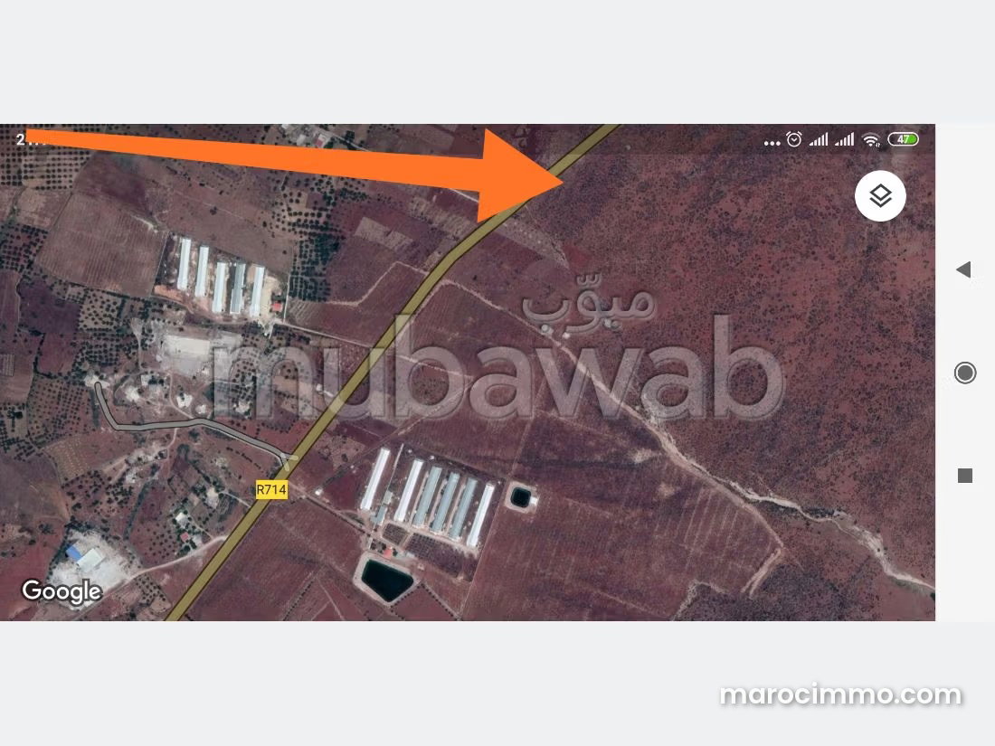 أرض فلاحية رحبة للبيع بطريق إيموزار بفاس — فاس