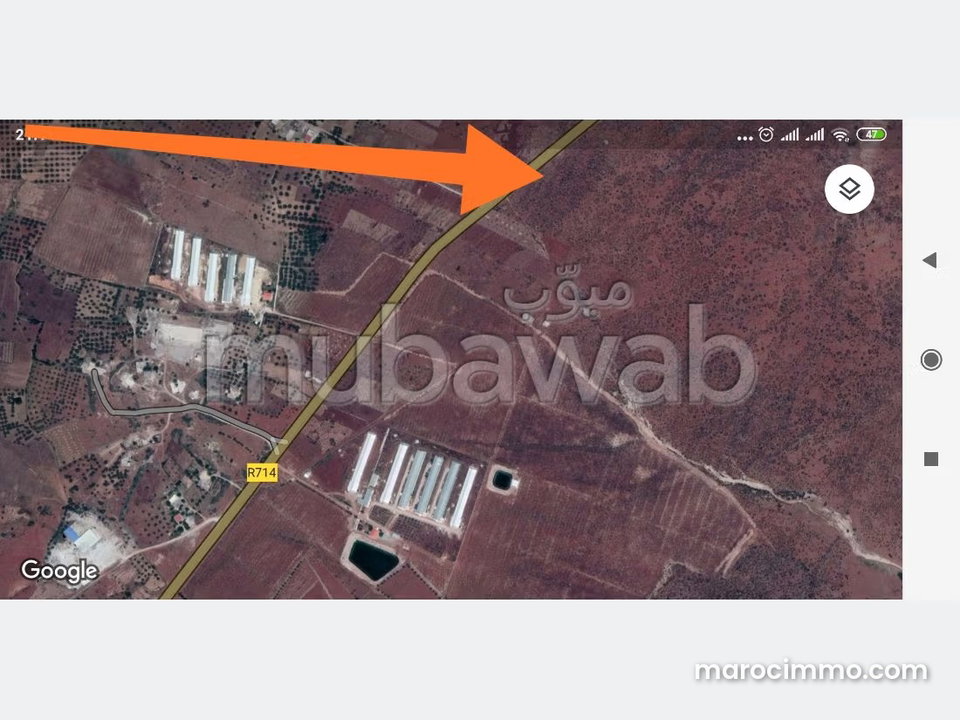 Terrain 9.5Ha à sidi khyar FES