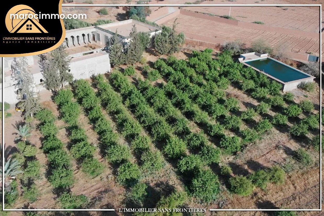 3.5-Hectare Farm with Olive Grove, Fes Road, Marrakech — Marrakesh