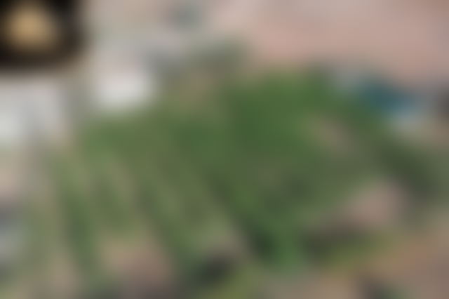 3.5-Hectare Farm with Olive Grove, Fes Road, Marrakech — Marrakesh