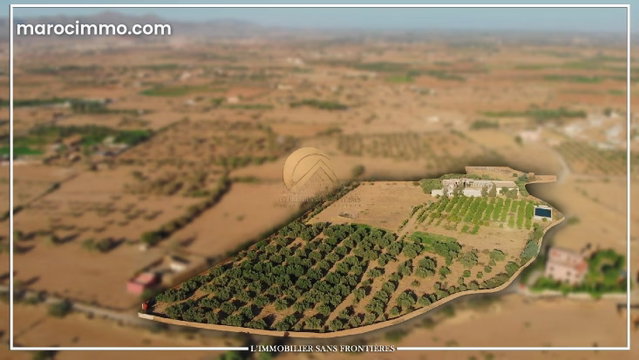 Ferme titré à Route Fès km 22, puit 117 m système goutte à goutte, Marrakech: à vendre — 2