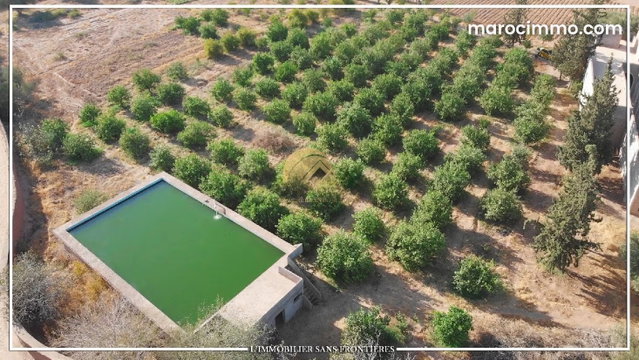 Ferme titré à Route Fès km 22, puit 117 m système goutte à goutte, Marrakech: à vendre — 4