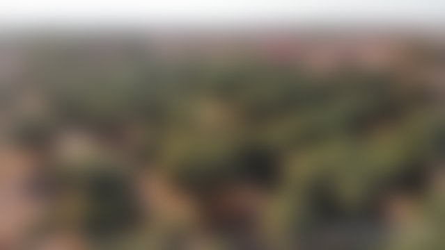 ضيعة زيتون رحبة للبيع بطريق فاس مراكش — 3