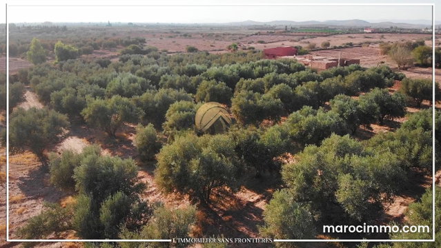Ferme titré à Route Fès km 22, puit 117 m système goutte à goutte, Marrakech: à vendre — 3
