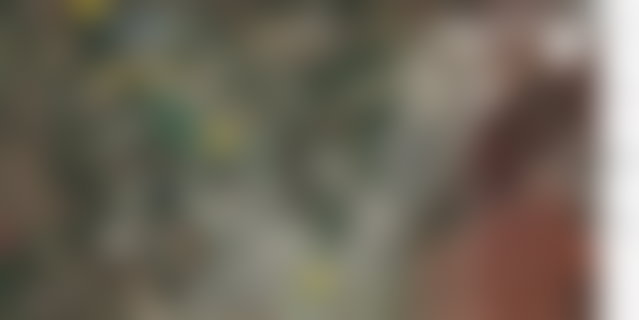 أرض واسعة بمساحة 1,77 هكتار للبيع بطريق عين الشقف فاس — 3