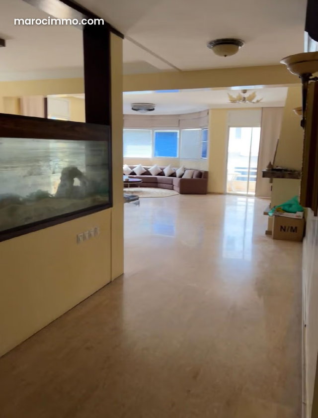 Bel appartement récent au secteur 14 — 2