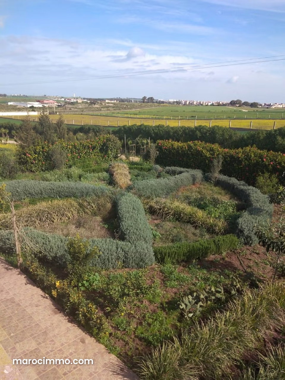 Terrain 2,6H bien situé à Had Soualem pour projets
