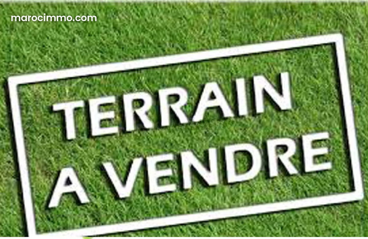 Vente terrain région d'Essaouira