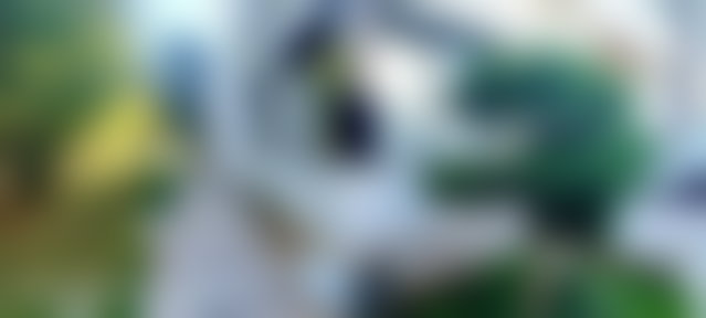 فيلا رحبة بمسبح وحديقة للكراء في بوسكورة المدينة الخضراء — 4