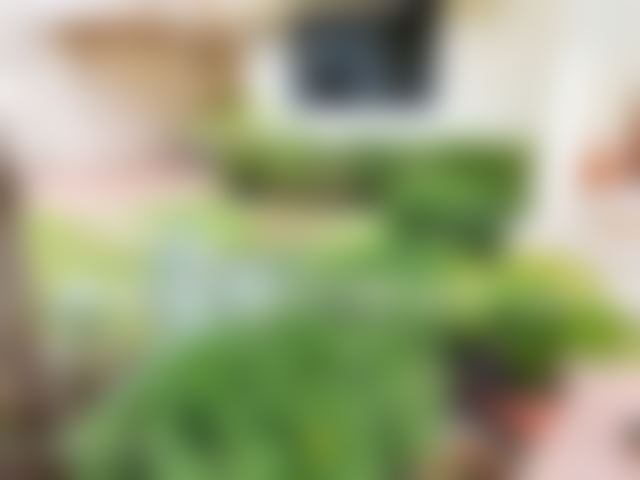 300 m² Villa with Garden and Garage, Hay Riad, Rabat, for Rent — Rabat