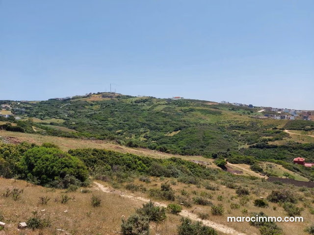 Terrain titré 4000 m2 zone Villa à Vendre à Mnar — 5