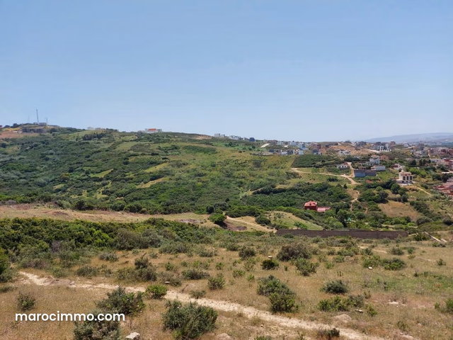 Terrain titré 4000 m2 zone Villa à Vendre à Mnar — 3