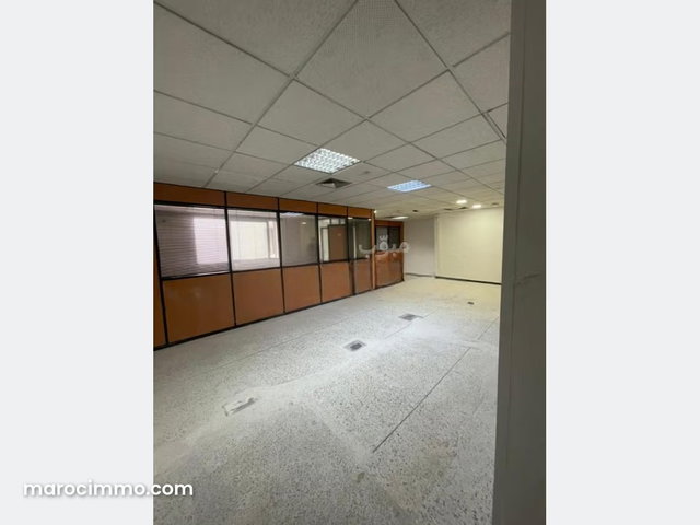 Plateau de bureau LPB677 de 250 m² à Palmier — 5