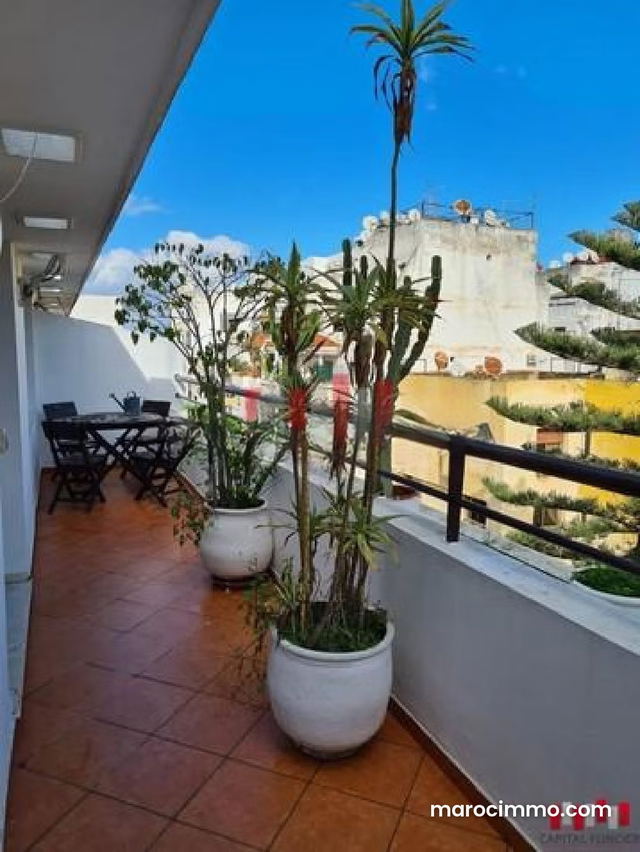 Terrasse cosy meuble racine — Casablanca