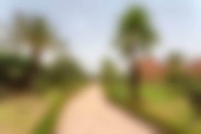 Exceptional Villa on 1 Hectare, Ourika Road, Marrakech — 3