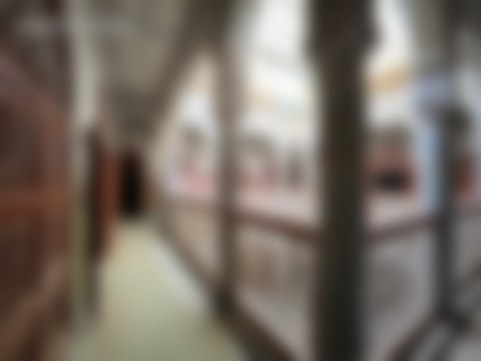 Riad historique 561 m², voisin du Palais Bahia, Riad Zitoun