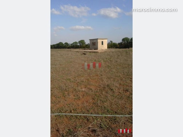 Terrain agricole de 15.000 m avec derogation de construire plusieurs hangars a la vente zone khyayta — 2