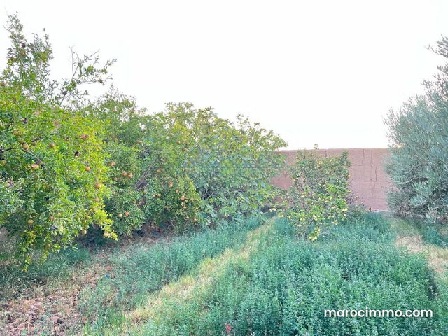 Sublime farm for sale — 2