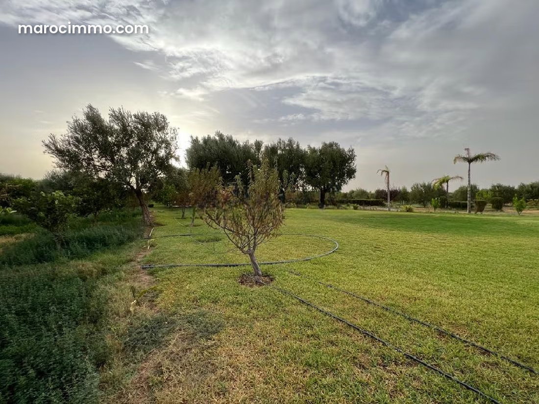 Ferme authentique 4 hectares, Route d'Agadir, Marrakech — Marrakech