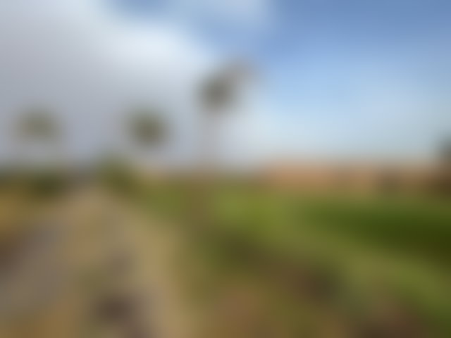 ضَيعة أصيلة على طريق أكادير مراكش — 5