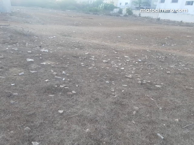 Oceanfront Land with Title — 3