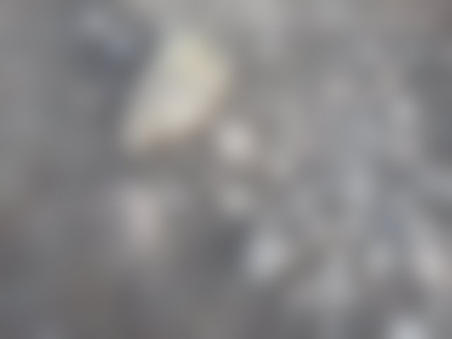 أرض مطلة على البحر للبيع بدار بوعزة — 4