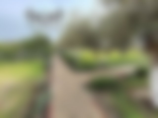 ضيعة متكاملة للبيع قرب برشيد على مساحة 13250 م² — 5