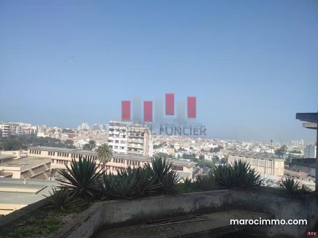 Immeuble professionnel R 7 en plein bld haasan 1 de 7600 m a la vente — 3