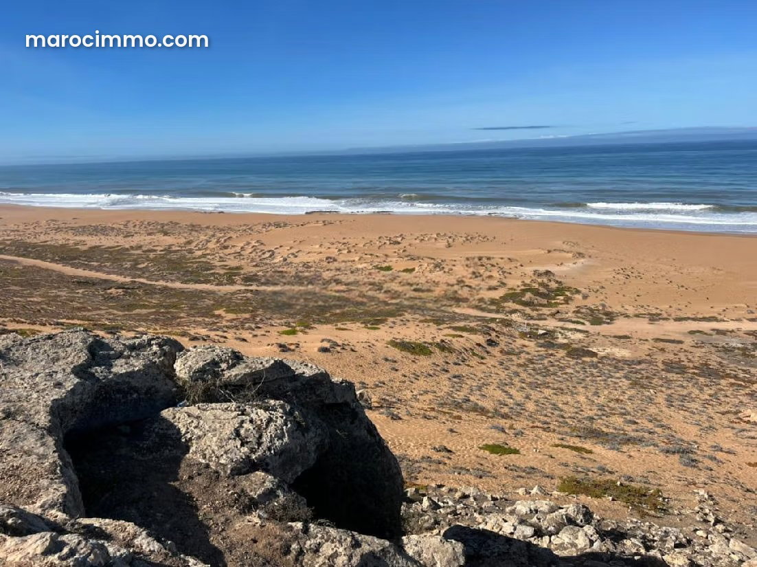 8,200 m² Land with Sea Views for Sale in Oualidia — Oualidia