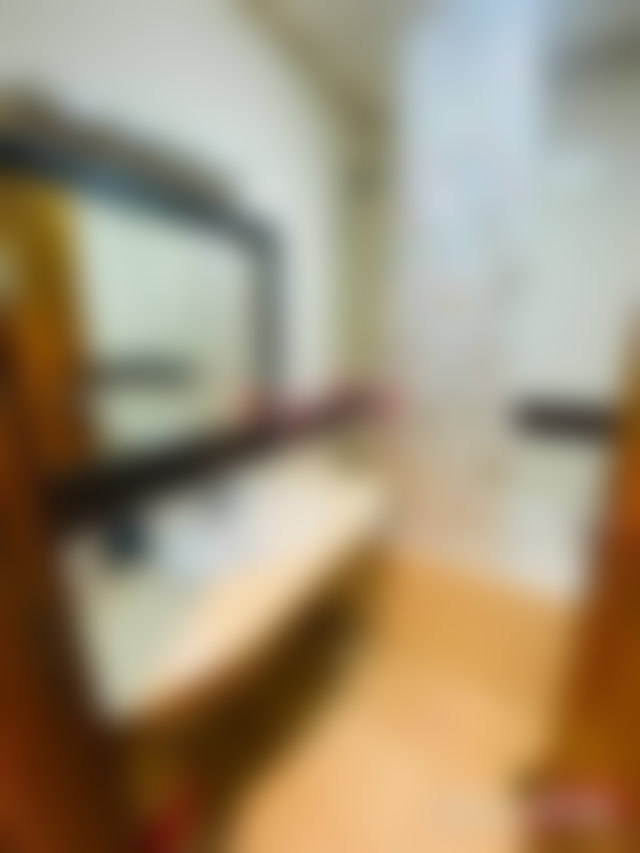 Furnished Apartment with Terrace for Rent in Racine, Casablanca — 5