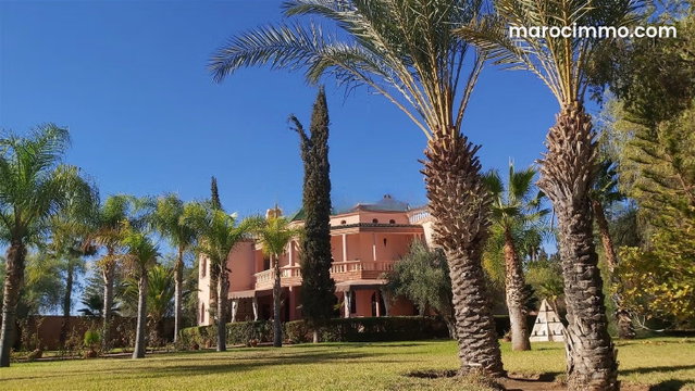 PALAIS style SAADIEN / VNA obtenue — 3