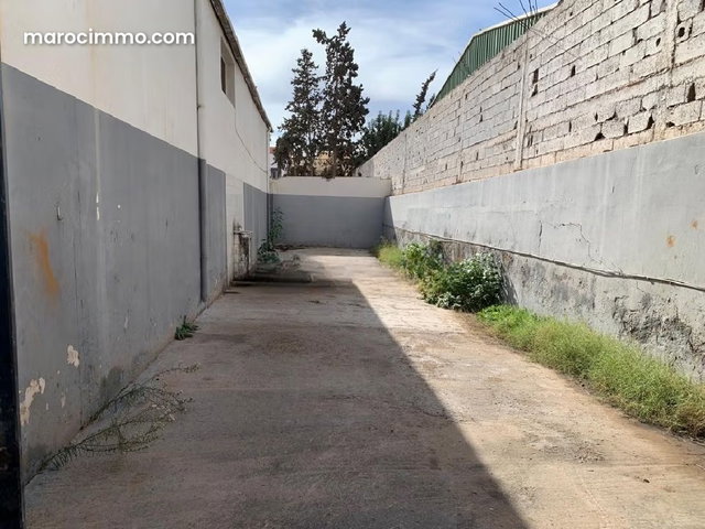 Grand dépot à louer au Quartier industriel Tassila — 5