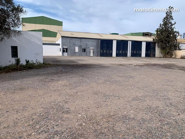 Grand dépot à louer au Quartier industriel Tassila — 2