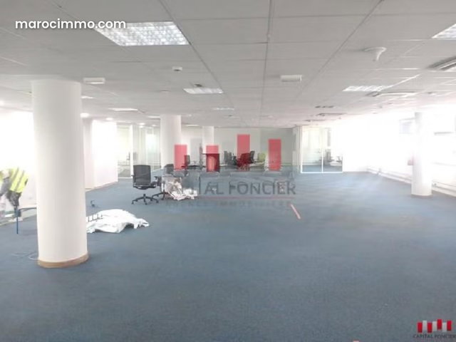 Plateau bureau de 398m² 6 places de parking Bd Med V — 3