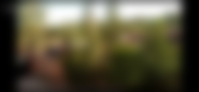 ضيعة واعدة للبيع بطريق أوريكة في مراكش — 2
