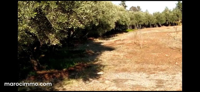 Ferme à vendre à Route de l'Ourika. Superficie 3000 m² — 3
