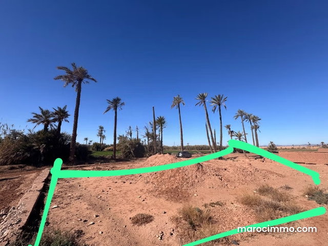Terrain en vente à BAB ATLAS PALMERAIE — 4