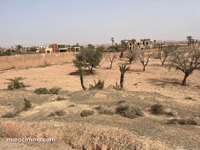 A Good Deal, Well-Situated Land at BAB ATLAS — 5