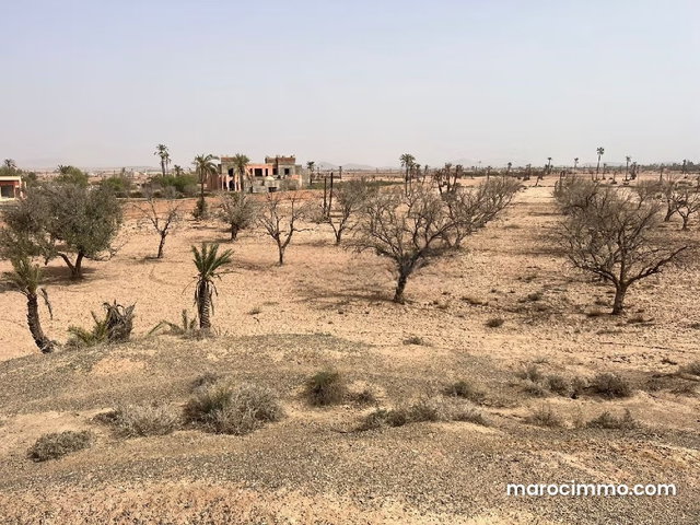 A Good Deal, Well-Situated Land at BAB ATLAS — 4
