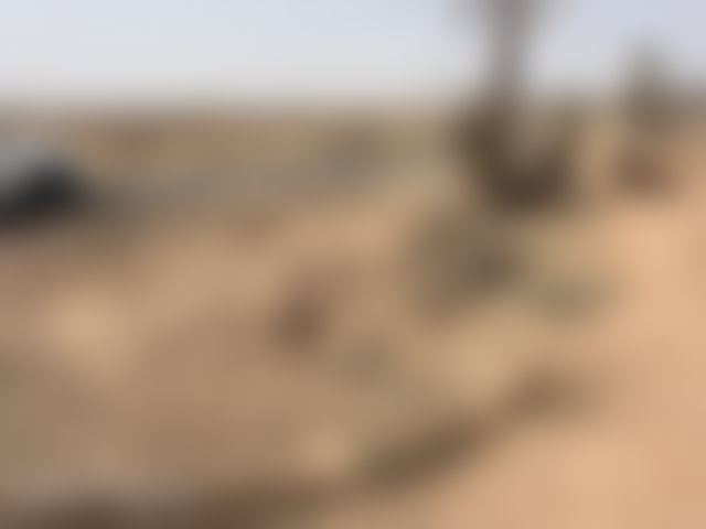 Terrain constructible 3,4 ha, Palmeraie, Marrakech — 3
