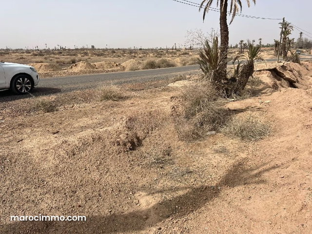A Good Deal, Well-Situated Land at BAB ATLAS — 3