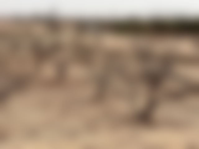 Terrain constructible 3,4 ha, Palmeraie, Marrakech — Marrakech