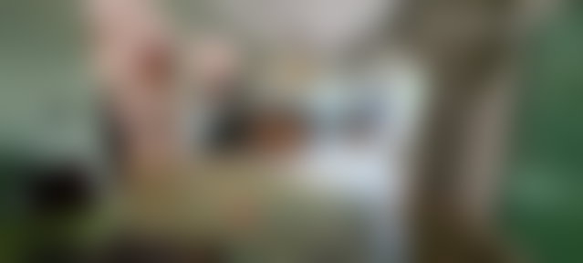 450 m² Villa with Garden and Garage, Sidi Maarouf, Casablanca — 4