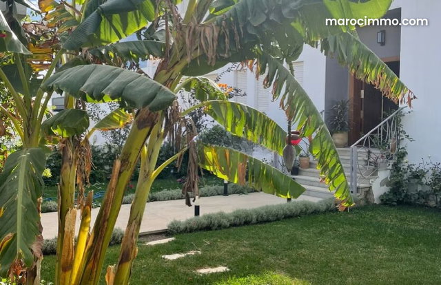 Villa a louer avec jardin situation la montagne surface 1000 m² — 3