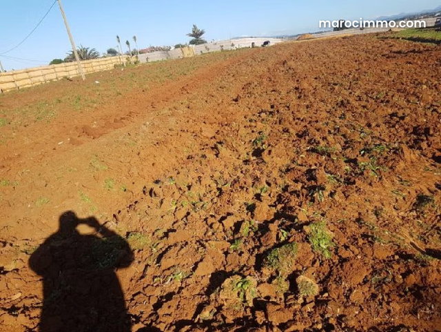Grand Terrain constructible vue montagne et mer, Briech, Asilah — 5