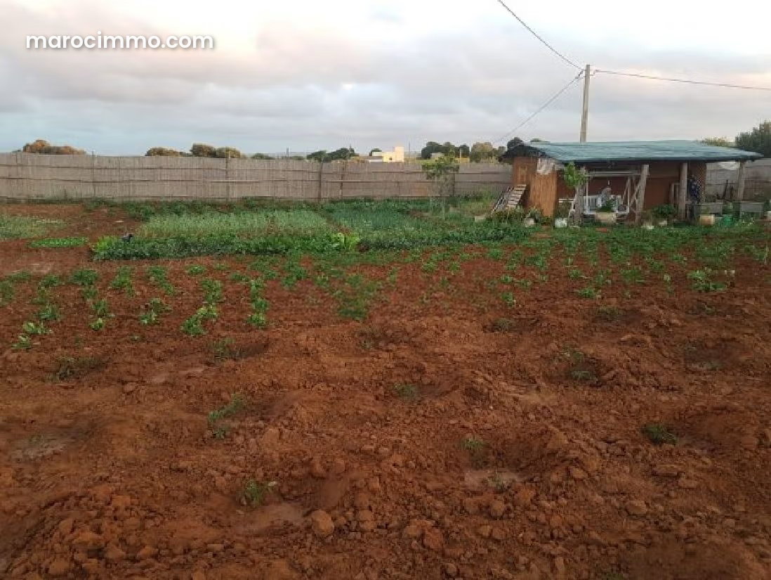 4,000 m² Plot of Land in Asilah with Sea and Mountain Views — Asilah