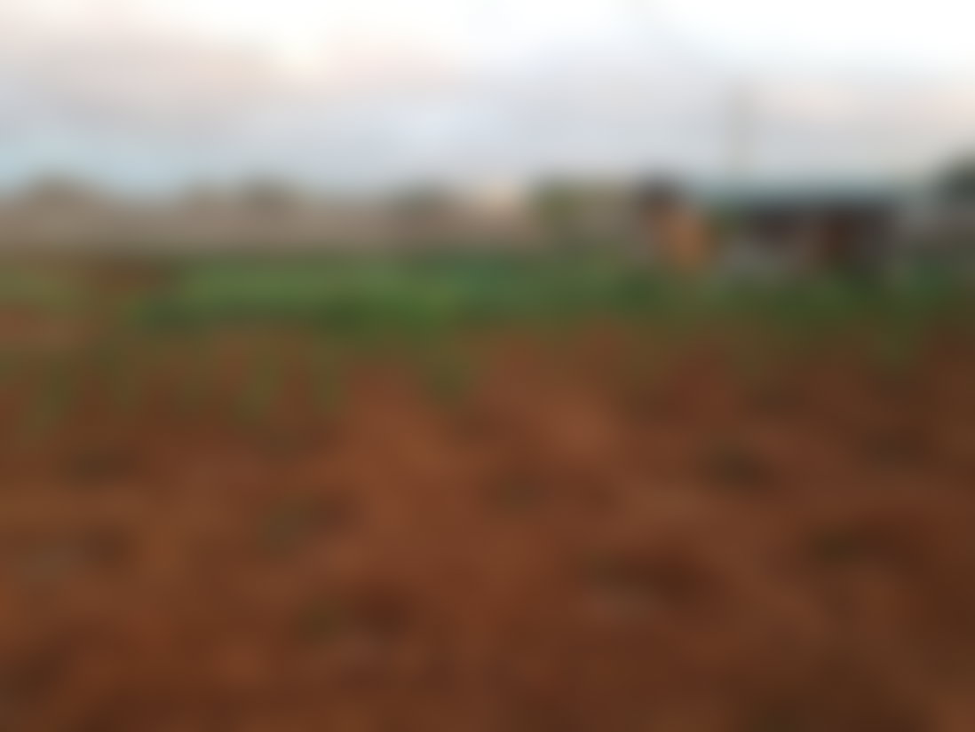 أرض بإطلالة بحرية وجبلية للبيع في أصيلة